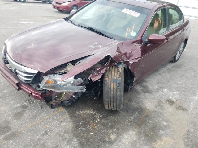 1HGCP2F80CA132564 - 2012 HONDA ACCORD EXL BURGUNDY photo 9