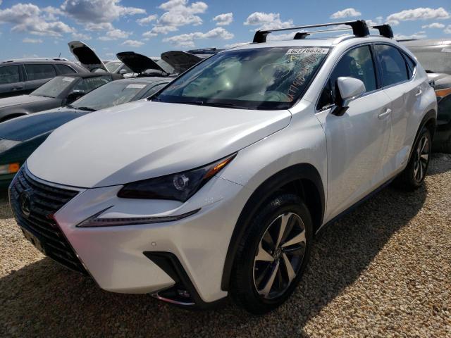 JTJBJRBZ4K2112486 - 2019 LEXUS NX 300H WHITE photo 2