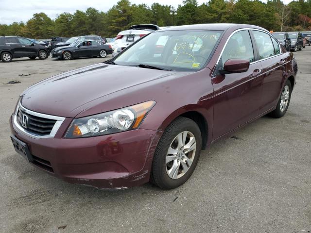 1HGCP26409A144865 - 2009 HONDA ACCORD LXP BURGUNDY photo 2