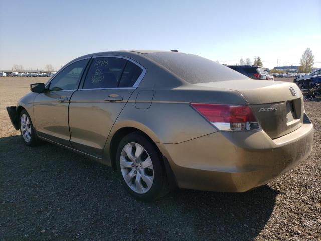 1HGCP26828A809184 - 2008 HONDA ACCORD EXL GOLD photo 3