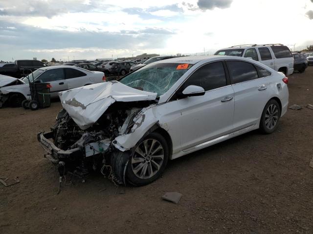 5NPE34AF5FH173676 - 2015 HYUNDAI SONATA SPO WHITE photo 2