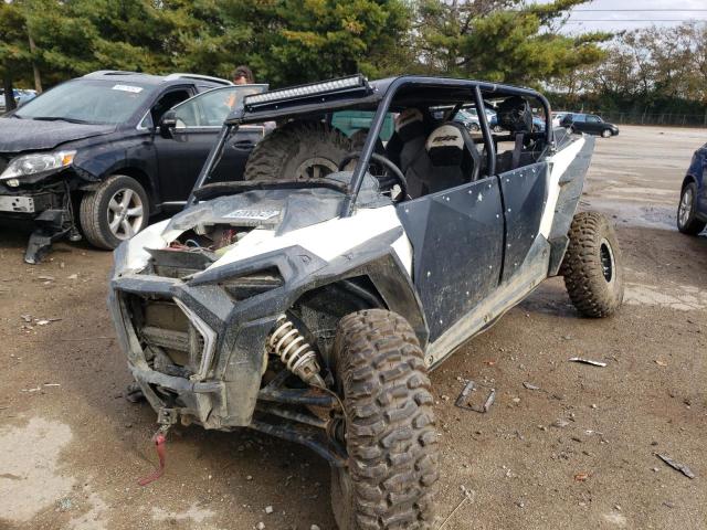 3NSVFE922KF584619 - 2019 POLARIS RZR XP 4 T WHITE photo 2