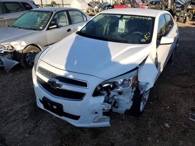 1G11C5SA1DF162133 - 2013 CHEVROLET MALIBU 1LT 白色 照片 2