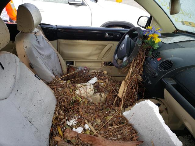 3VWPF31YX8M419529 - 2008 VOLKSWAGEN NEW BEETLE 黑色 照片 5