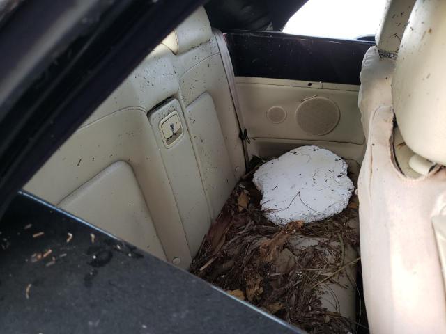 3VWPF31YX8M419529 - 2008 VOLKSWAGEN NEW BEETLE 黑色 照片 6