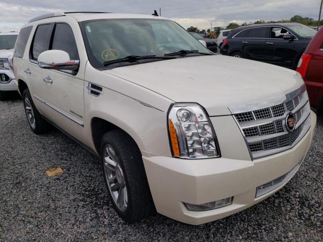 1GYS4DEF3DR141867 - 2013 CADILLAC ESCALADE P BEIGE photo 1