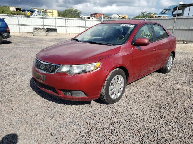 KNAFU4A25C5593218 - 2012 KIA FORTE EX RED photo 2