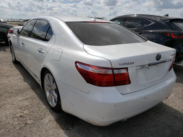 JTHDU46F095010177 - 2009 LEXUS LS 600HL WHITE photo 3