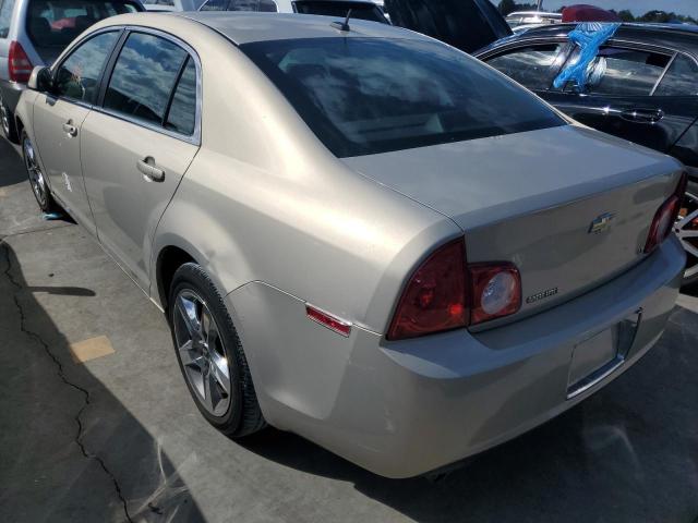 1G1ZH57BX9F220317 - 2009 CHEVROLET MALIBU 1LT 米色 照片 3