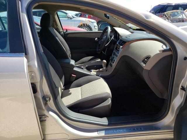 1G1ZH57BX9F220317 - 2009 CHEVROLET MALIBU 1LT 米色 照片 5