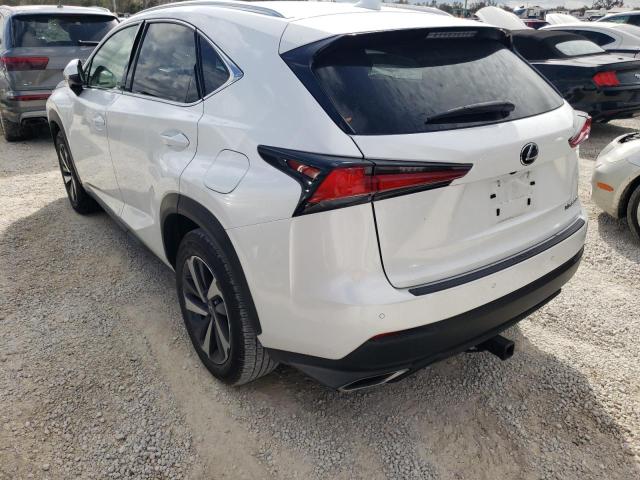 JTJYARBZ2J2109157 - 2018 LEXUS NX 300 BAS WHITE photo 3