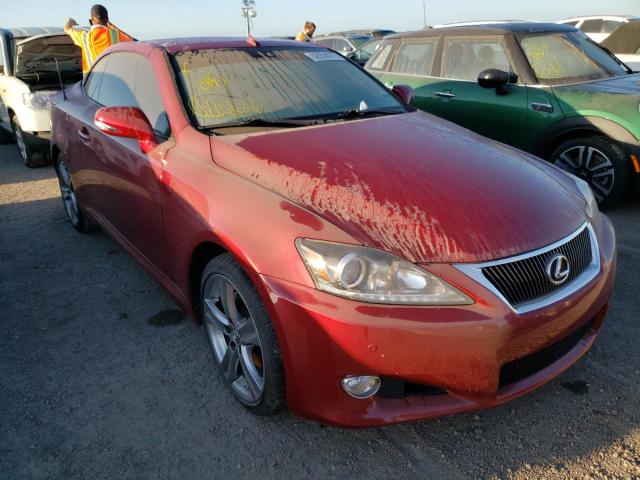 JTHFF2C26C2523533 - 2012 LEXUS IS 250 RED photo 1