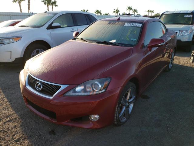 JTHFF2C26C2523533 - 2012 LEXUS IS 250 RED photo 2