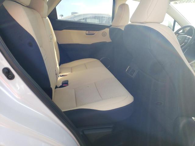 JTJDARBZ6M5031967 - 2021 LEXUS NX 300 BAS 白色 照片 6