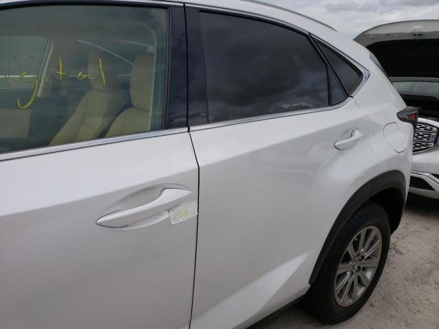 JTJDARBZ6M5031967 - 2021 LEXUS NX 300 BAS 白色 照片 9