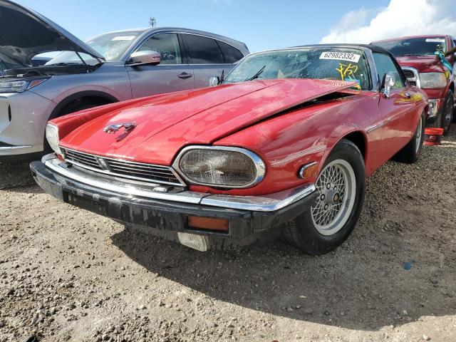 SAJNV4843KC155117 - 1989 JAGUAR XJS RED photo 2