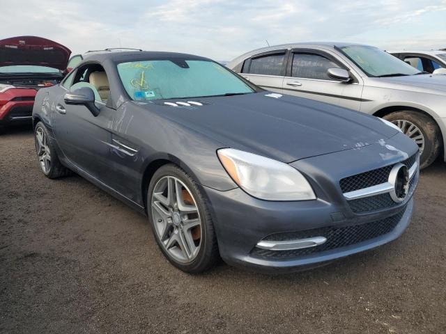 WDDPK4HA1EF078181 - 2014 MERCEDES-BENZ SLK 250 GRAY photo 1