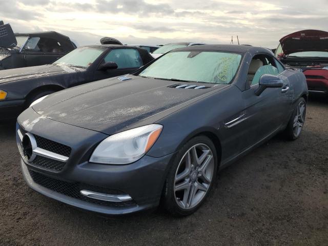 WDDPK4HA1EF078181 - 2014 MERCEDES-BENZ SLK 250 GRAY photo 2