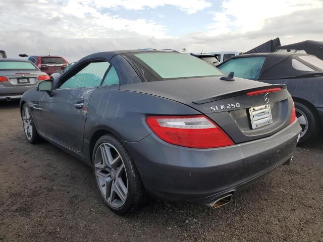 WDDPK4HA1EF078181 - 2014 MERCEDES-BENZ SLK 250 GRAY photo 3