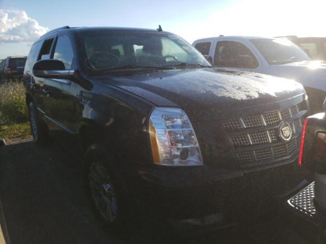 1GYS4CEF4DR164973 - 2013 CADILLAC ESCALADE P BLACK photo 1