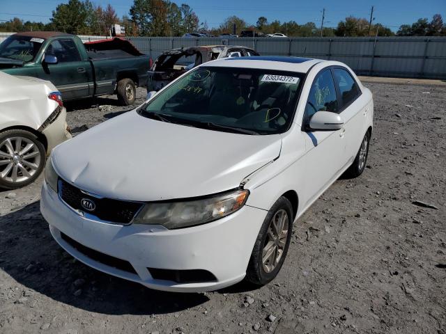 KNAFU4A29B5362899 - 2011 KIA FORTE EX WHITE photo 2