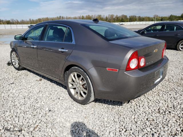 1G1ZE5EU3CF140524 - 2012 CHEVROLET MALIBU LTZ თაფლისფერი ფოტო 3