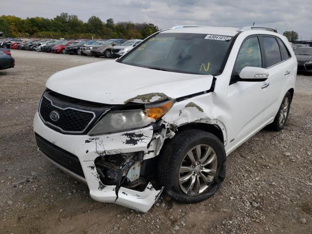 5XYKWDA28BG112850 - 2011 KIA SORENTO SX WHITE photo 2