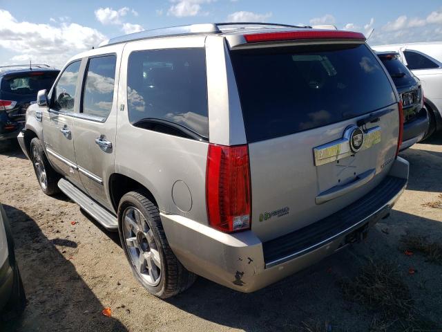 1GYFK43599R114598 - 2009 CADILLAC ESCALADE H TAN photo 3