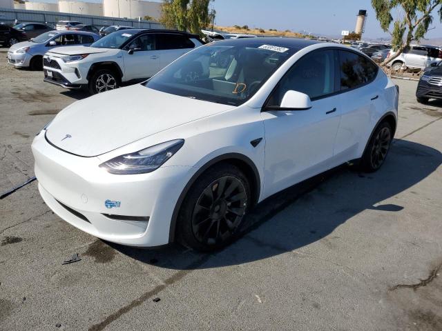 5YJYGAEE1MF234891 - 2021 TESLA MODEL Y WHITE photo 2