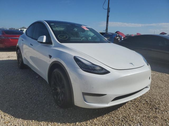 5YJYGDEE6MF072497 - 2021 TESLA MODEL Y WHITE photo 1