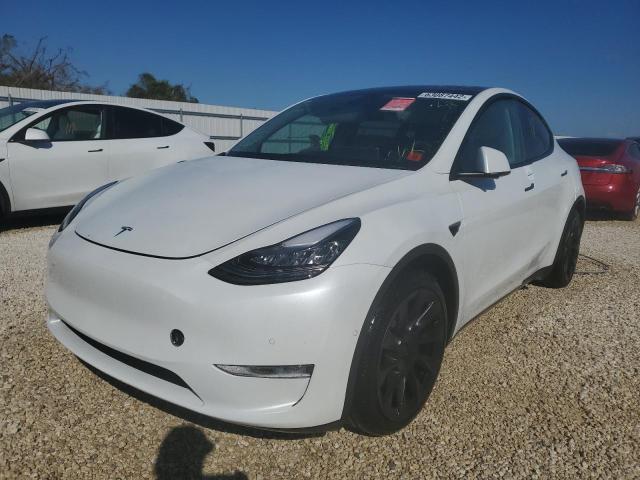 5YJYGDEE6MF072497 - 2021 TESLA MODEL Y أبيض صورة 2