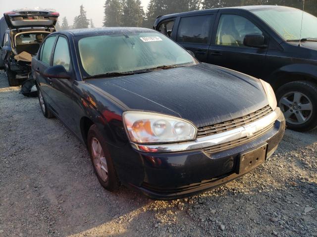 1G1ZT54894F151832 - 2004 CHEVROLET MALIBU LS BLACK photo 1