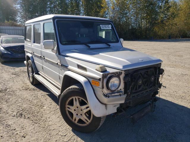 WDCYR49E22X128694 - 2002 MERCEDES-BENZ G 500 SILVER photo 1