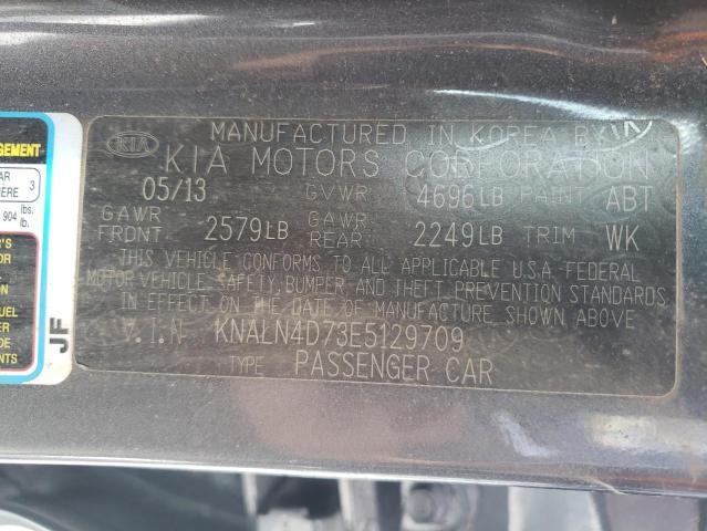 KNALN4D73E5129709 - 2014 KIA CADENZA PR GRAY photo 10