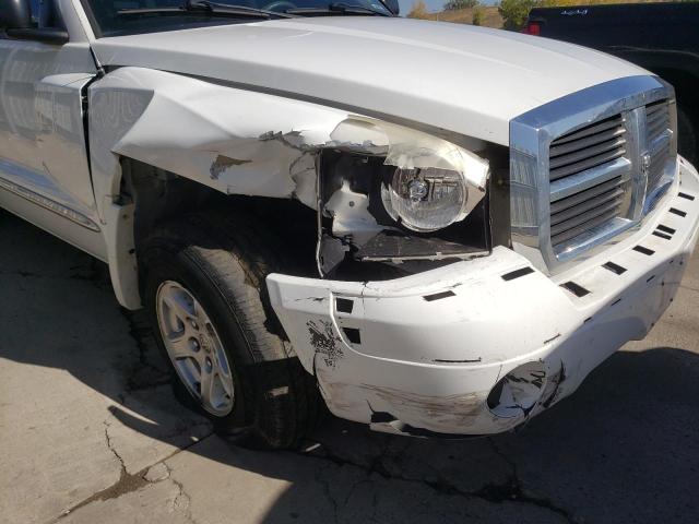 1D7HW58J96S508031 - 2006 DODGE DAKOTA QUA WHITE photo 9