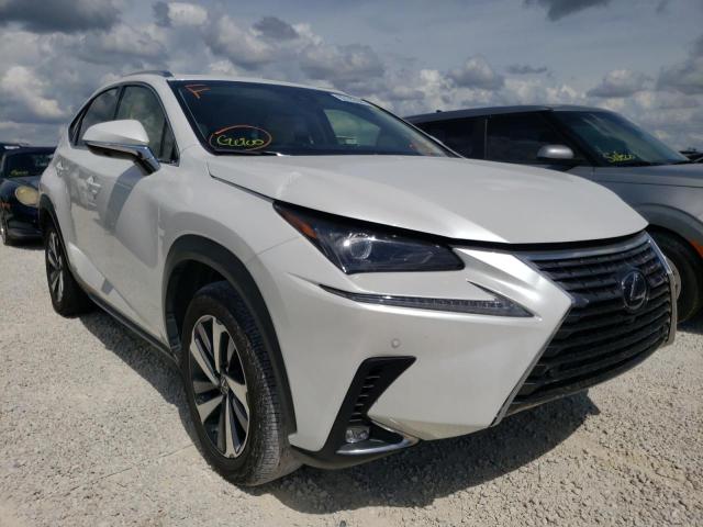 JTJBJRBZ3K2117713 - 2019 LEXUS NX 300H WHITE photo 1