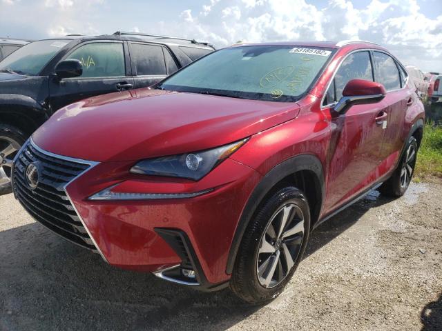 JTJGARBZ1M5032473 - 2021 LEXUS NX 300 BAS 红色 照片 2
