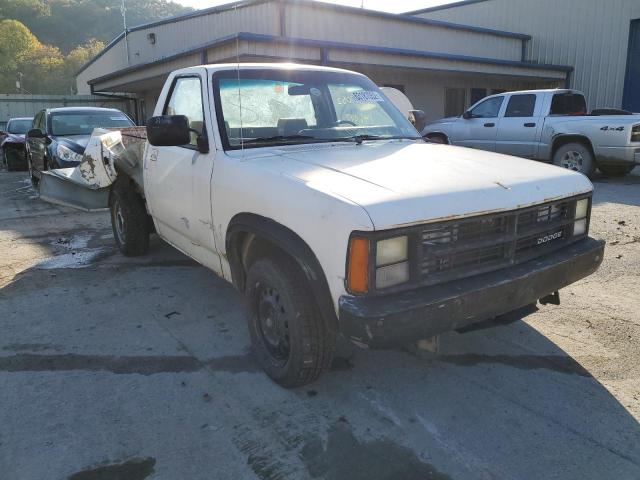 1B7FL16G1MS321082 - 1991 DODGE DAKOTA WHITE photo 1