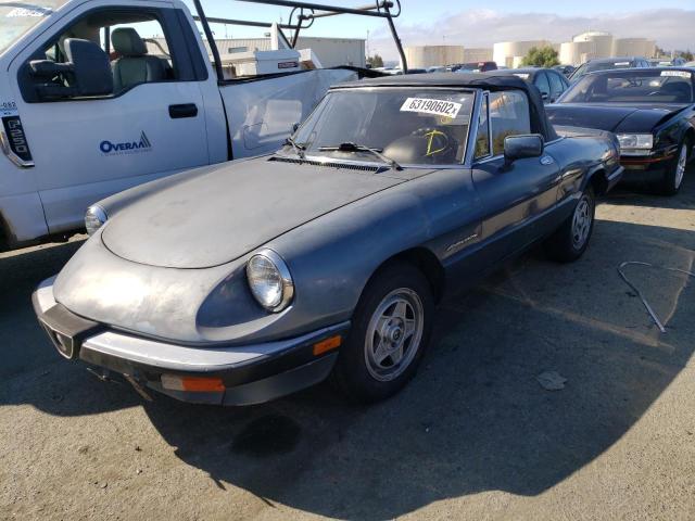 ZARBA5586H1048700 - 1987 ALFA ROMEO SPIDER VEL GRAY photo 2