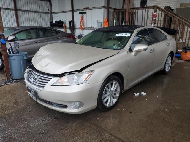 JTHBK1EG7A2389674 - 2010 LEXUS ES 350 CREAM photo 2