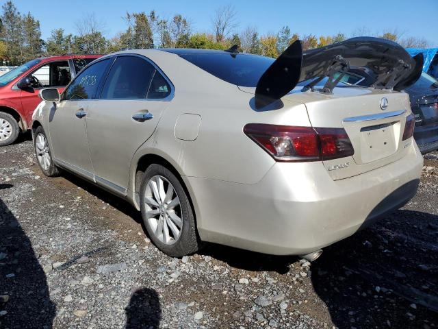 JTHBK1EG7A2389674 - 2010 LEXUS ES 350 CREAM photo 3