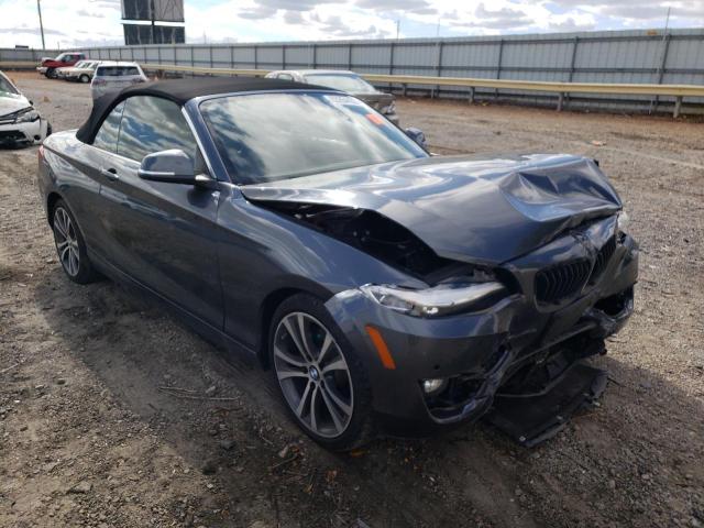 WBA1K9C5XGV322567 - 2016 BMW 228 I SULE Boz foto 1