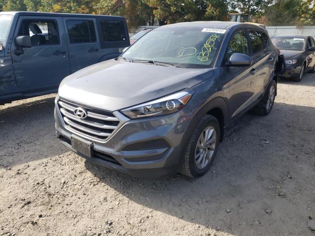 KM8J23A45HU266521 - 2017 HYUNDAI TUCSON SE GRAY photo 2