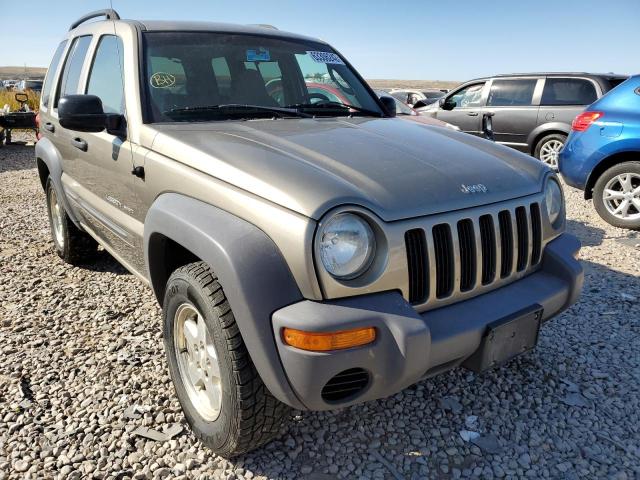 1J4GL48K53W645080 - 2003 JEEP LIBERTY SP GOLD photo 1