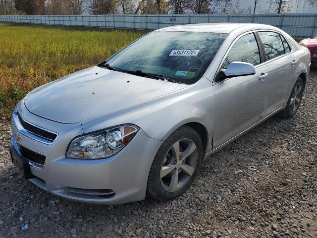 1G1ZC5E19BF368392 - 2011 CHEVROLET MALIBU 1LT Silber Foto 2