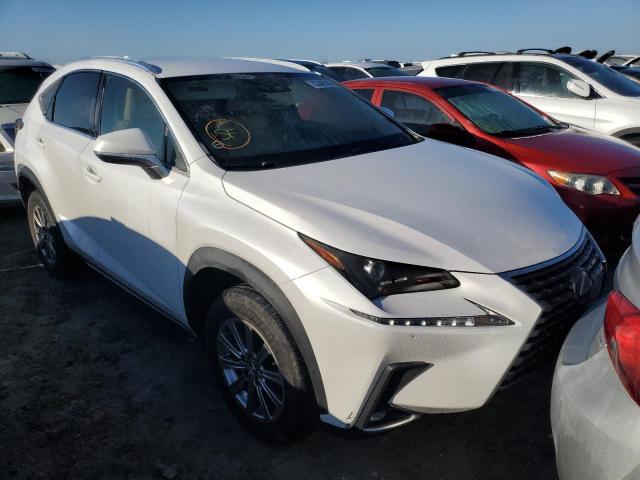 JTJDARBZ7M5032402 - 2021 LEXUS NX 300 BAS 白色 照片 1