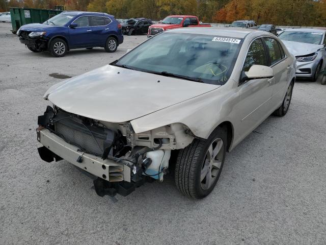1G1ZC5E14BF155740 - 2011 CHEVROLET MALIBU 1LT ბეჟი ფოტო 2