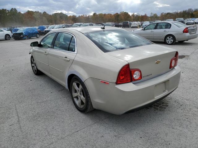 1G1ZC5E14BF155740 - 2011 CHEVROLET MALIBU 1LT ბეჟი ფოტო 3