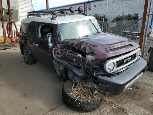 JTEBU11F070028280 - 2007 TOYOTA FJ CRUISER PURPLE photo 1