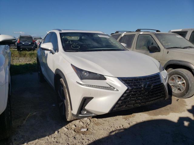 JTJGARBZXL5004962 - 2020 LEXUS NX 300 WHITE photo 1